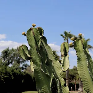 Resort Cortijo Media Legua, Vera